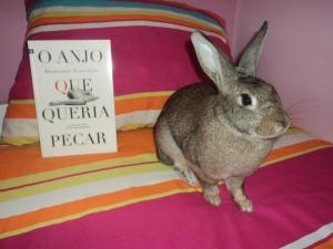 555561_2243499023837_531599939_n